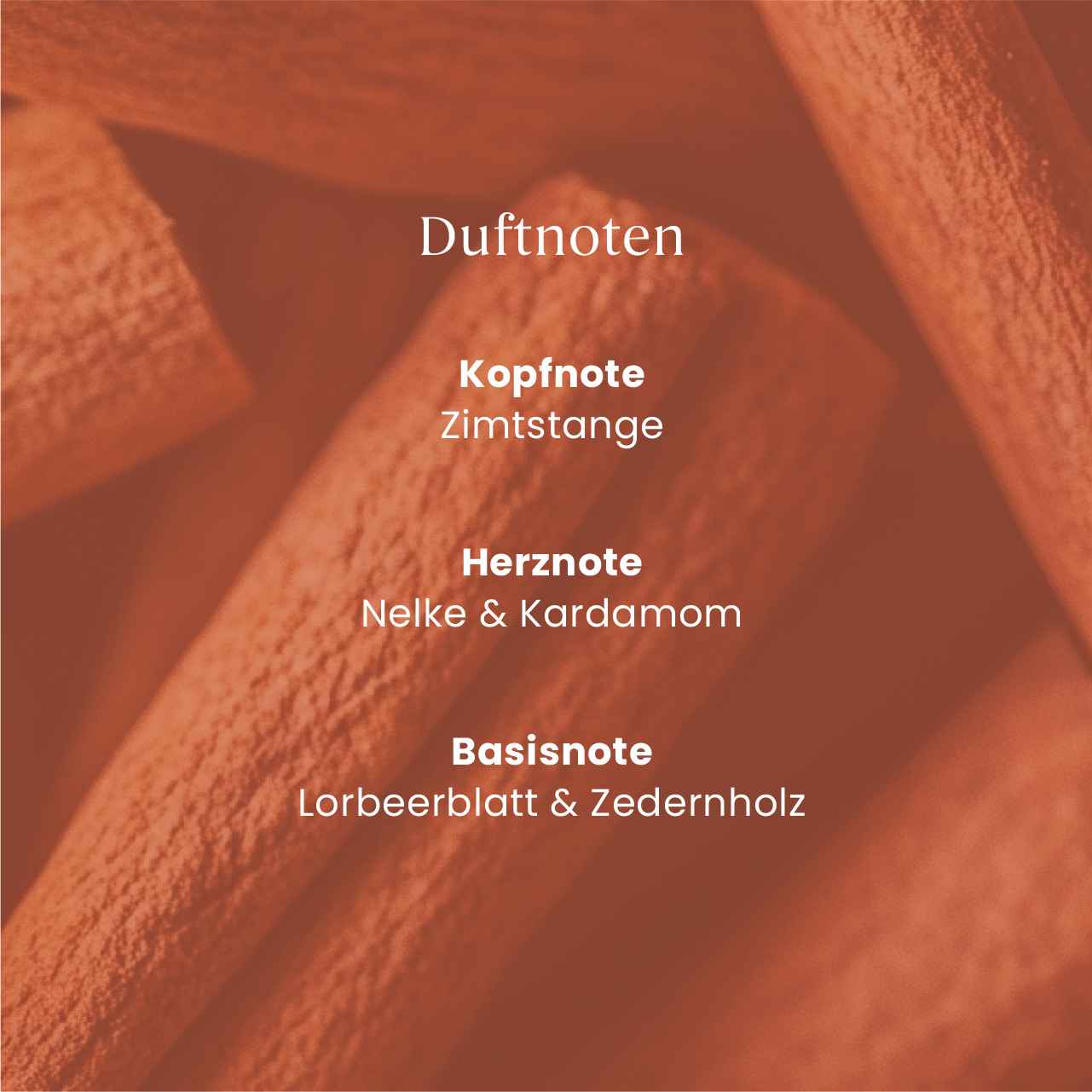 Zimtstange, Kopfnote, Herznote, Basisnote, Orangenschattiert