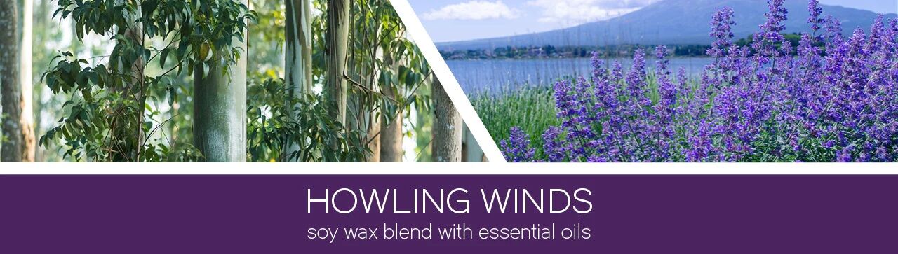 howling-winds-banner23 Howling Winds 411g (3-Docht)