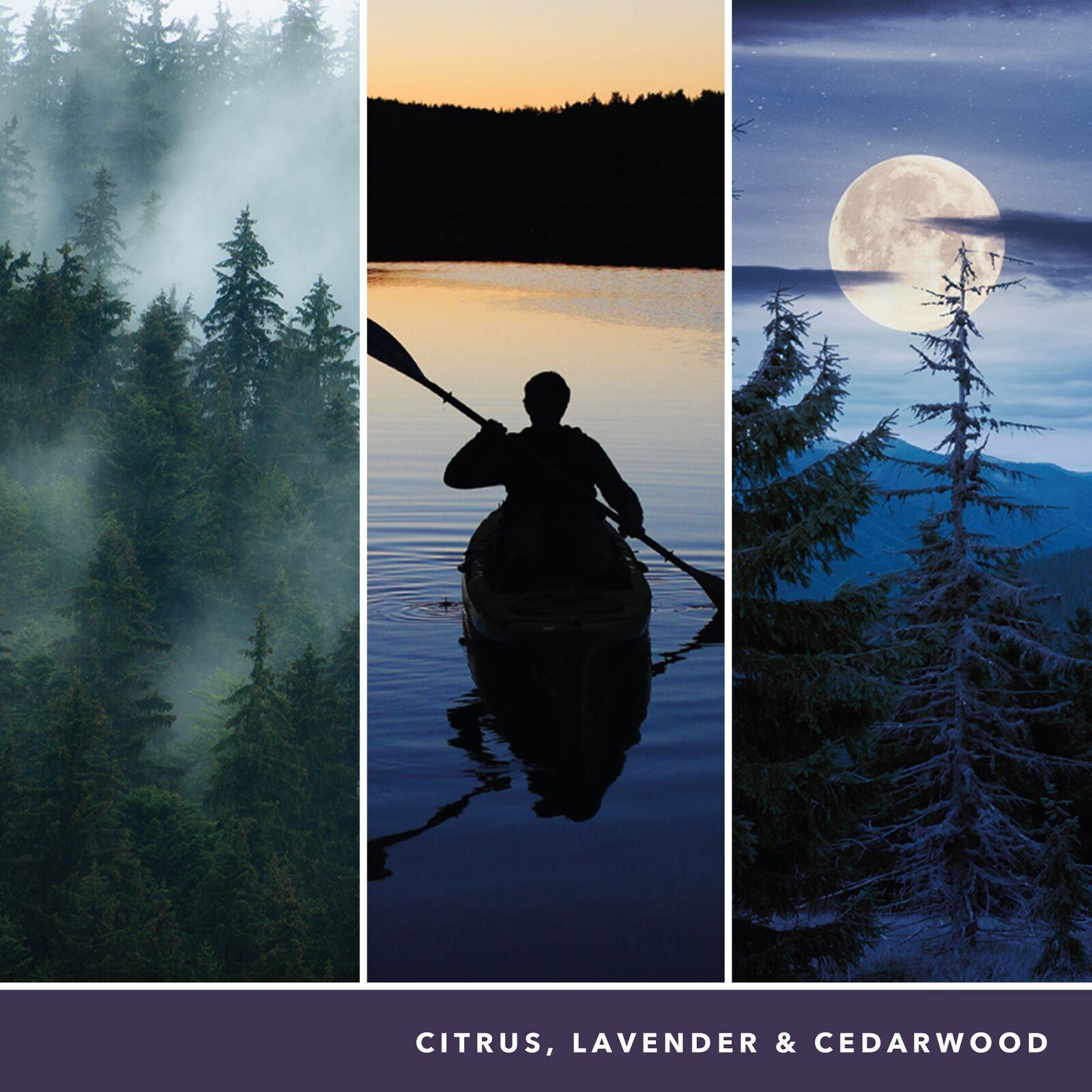 Midsummers Night 37g