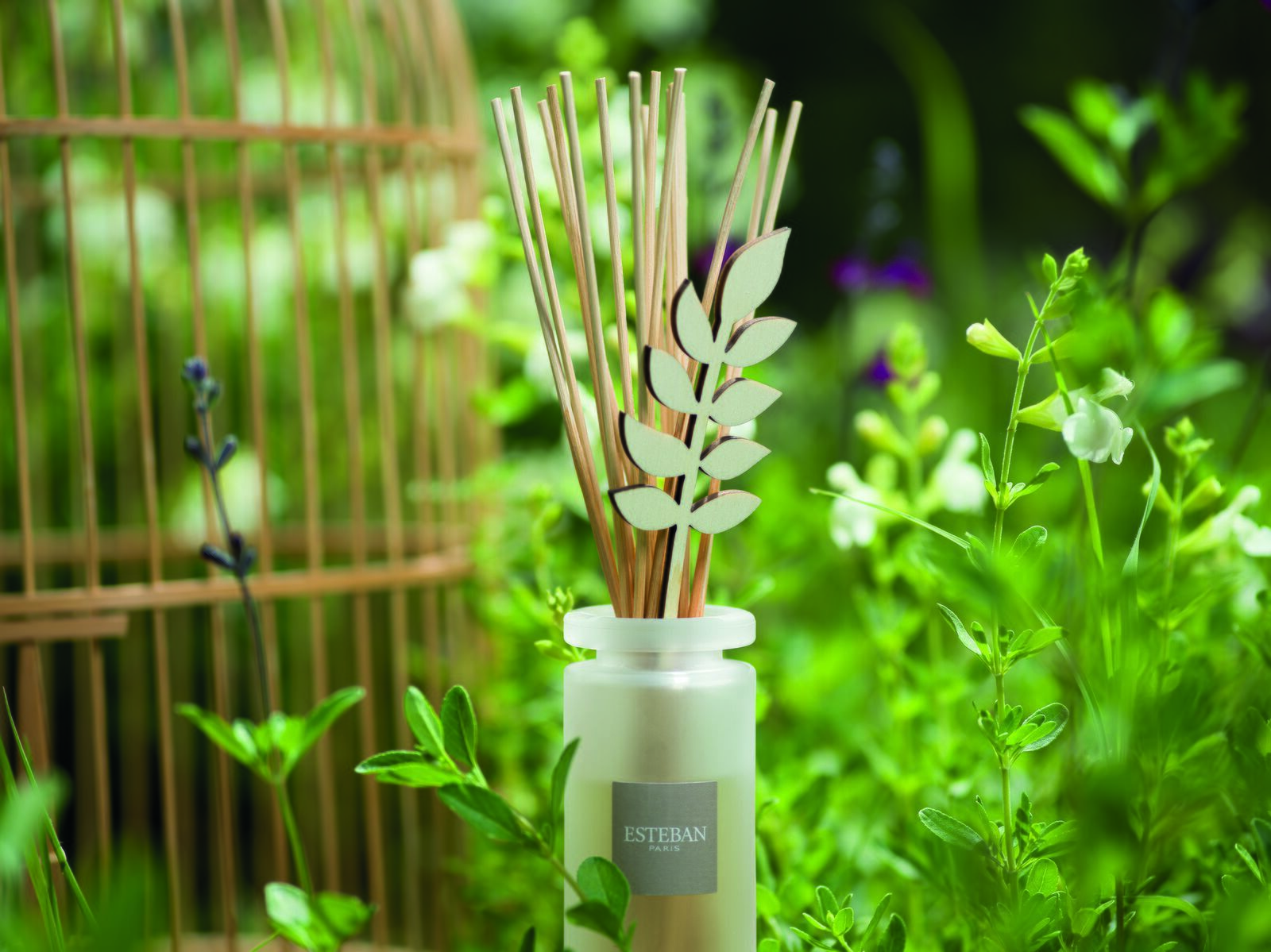 Sonniges Monoi Bukett 100ml