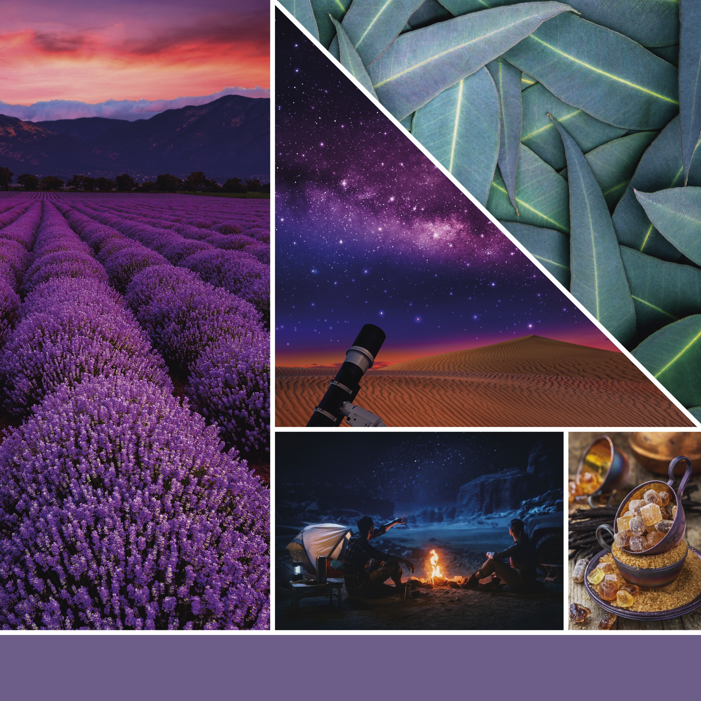 HMFC0112_YC_EMEA_SS23_Fragrance2D_Stargazing Stargazing Signature Large Jar 567g 2-Docht