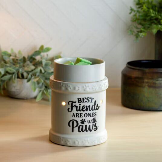 Best Friends elektrische Duftlampe Topfpflanze, Krug, Pflanzgefäß, Töpferei, Vase