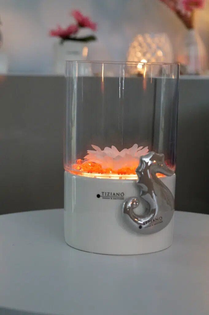 laterna-m-seepferd-u-gerbera-produktbild Laterna Basis mit Glas 22cm LED