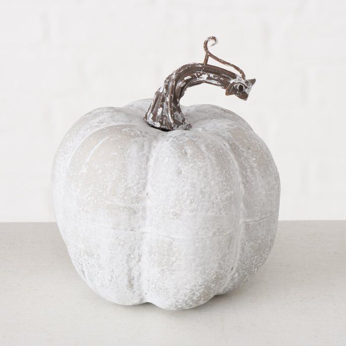 Einzelbild-KEfwX1CQ-large Dekokürbis Timea 11cm hellgrau