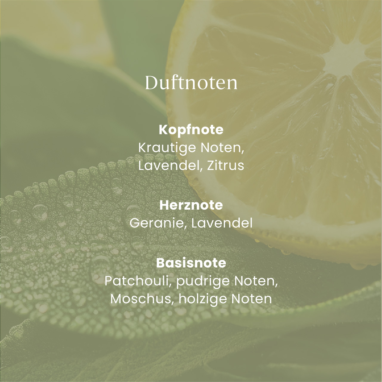 Sage & Citrus Car Jar Ultimate