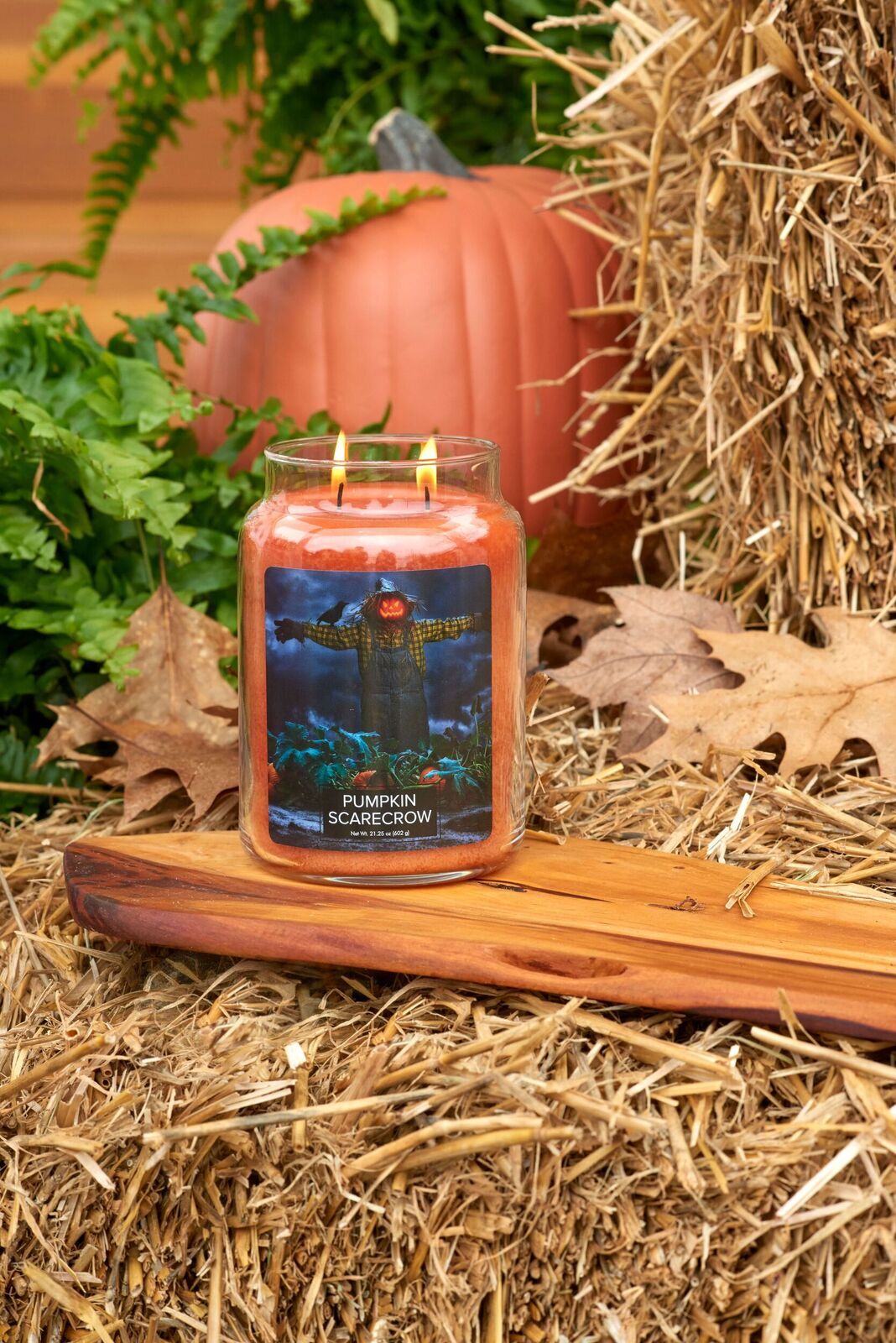 Pumpkin-Scarecrow-1-1 Pumpkin Scarecrow 602g