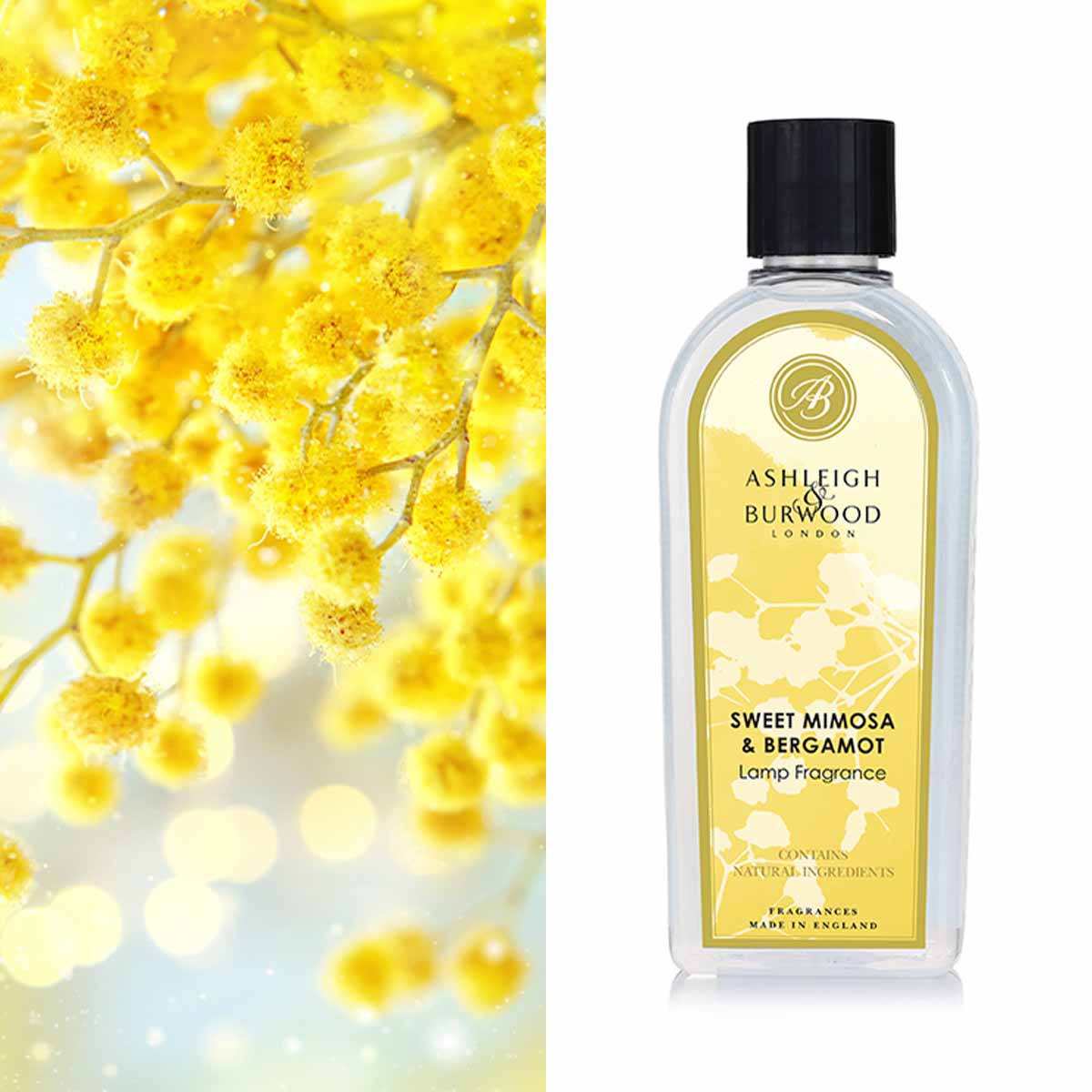 Flasche, Blume, Pflanze, Kosmetik, Parfüm