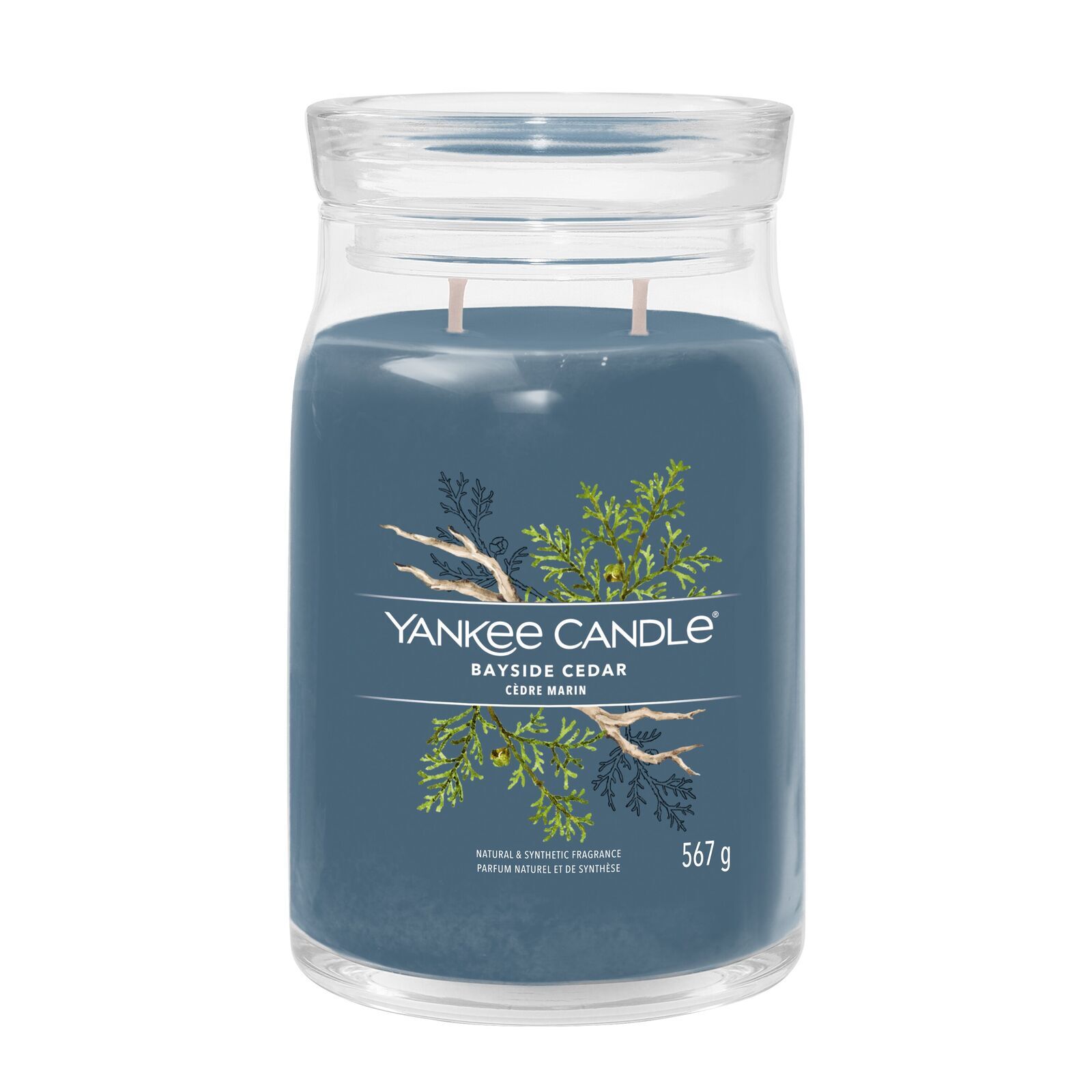 Bayside-Cedar_Large_Lid1 Bayside Cedar Signature Large Jar 567g 2-Docht