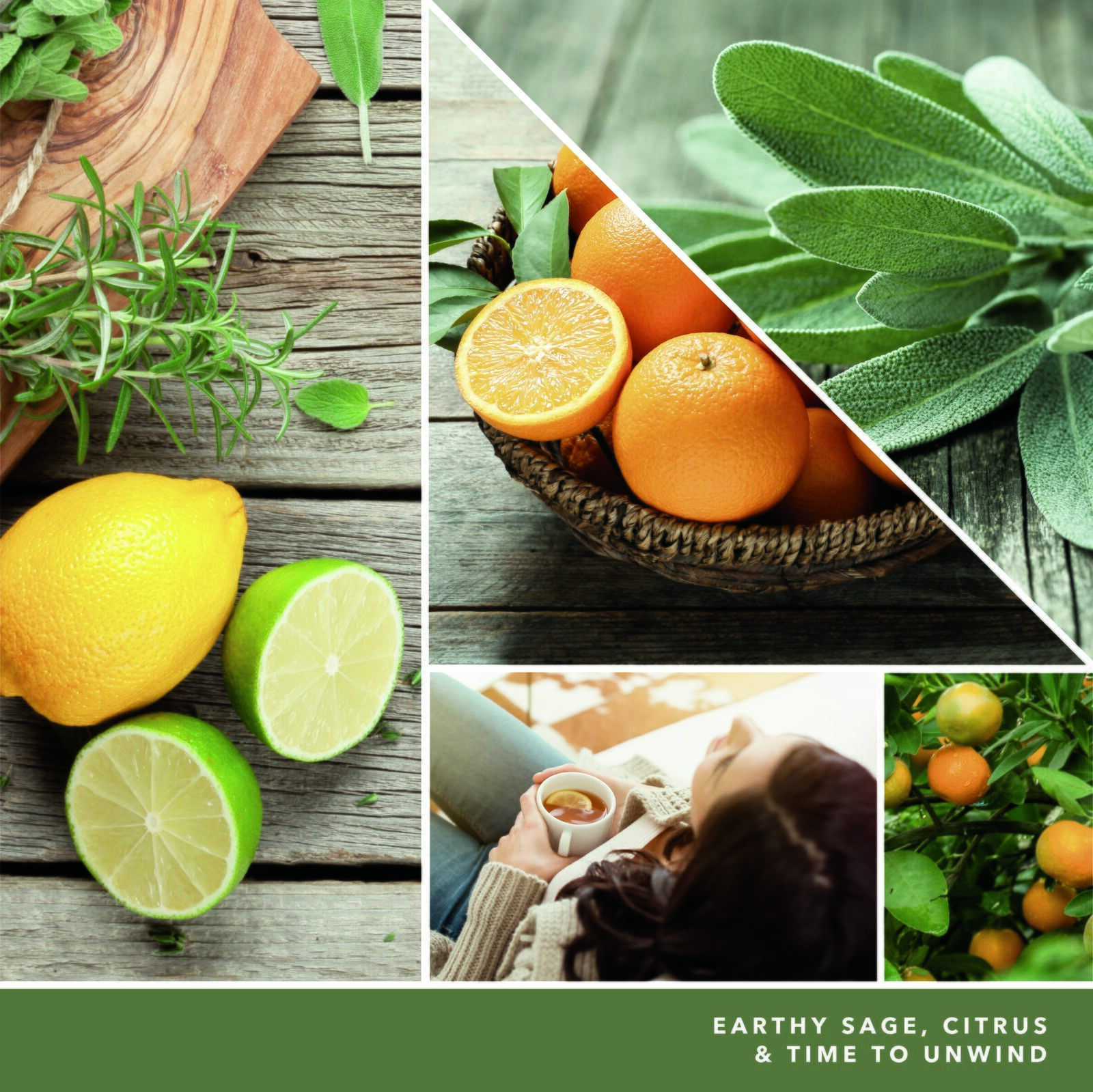 Sage & Citrus Signature Large Jar 567g 2-Docht