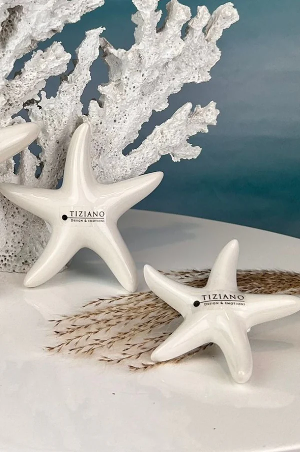 Seestern Mirana 16cm cremeweiß