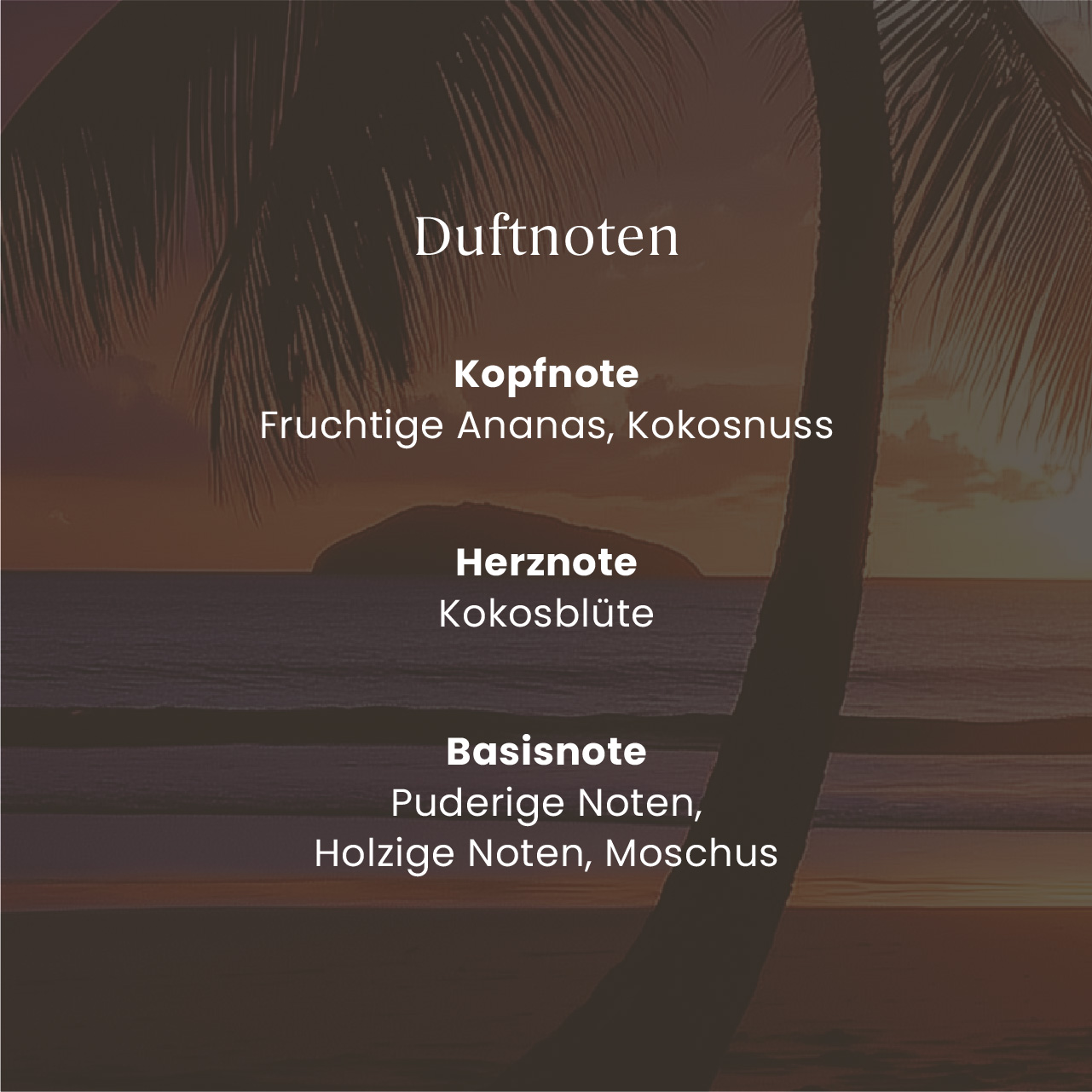 Black Coconut Car Jar Single duftnoten, kopfnote, herznote, basnote, kokosblüte