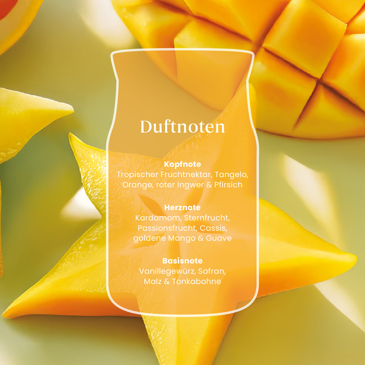 Starfruit & Sunshine Signature Medium Jar 368g 2-Docht