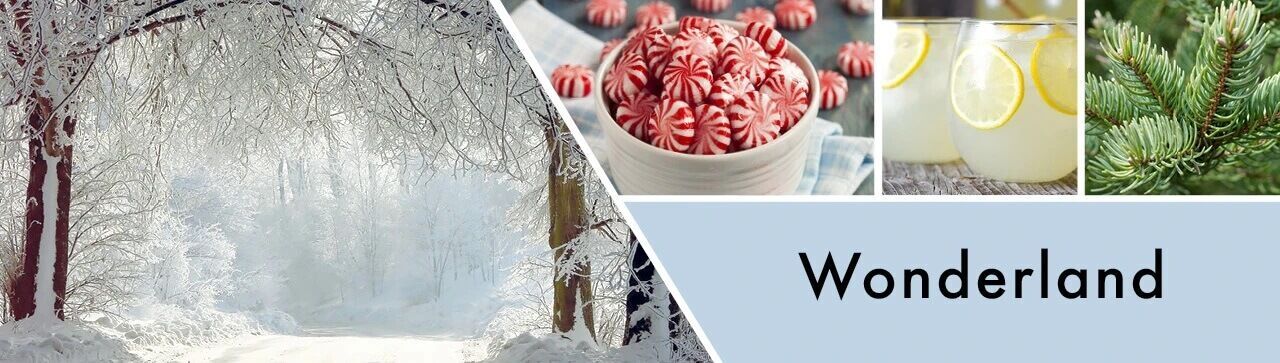 Wonderland-Banner Wonderland 680g