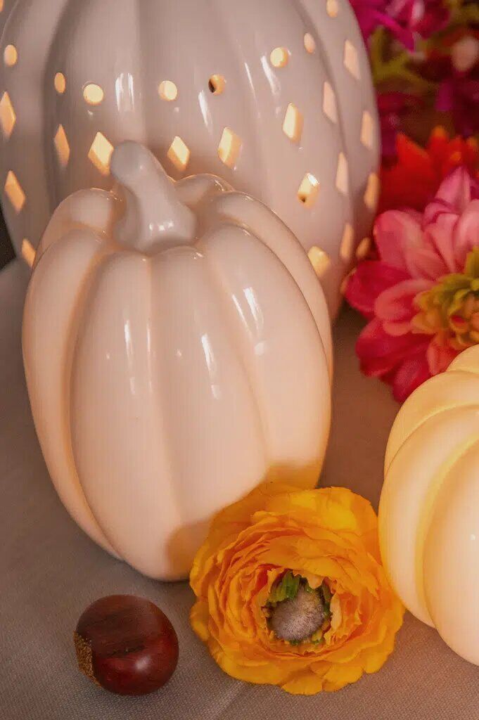 pastazo-dick-porzellan-detail Kürbis Pastazo dick 10cm LED Porzellan