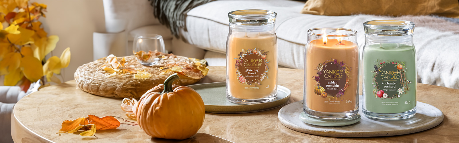  Yankee-Candle Jetzt wird es gemütlich mit Yankee Candle. 2025